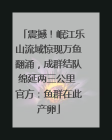 震撼！岷江乐山流域惊现万鱼翻涌，成群结队绵延两三公里 官方：鱼群在此产卵