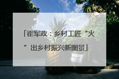 霍军政：乡村工匠“火”出乡村振兴新图景