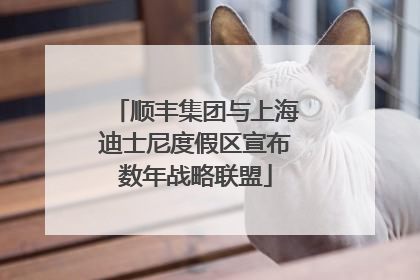顺丰集团与上海迪士尼度假区宣布数年战略联盟