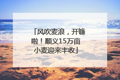 风吹麦浪，开镰啦！顺义15万亩小麦迎来丰收
