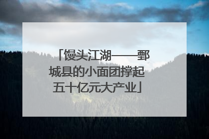 馒头江湖——鄄城县的小面团撑起五十亿元大产业