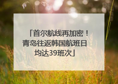 首尔航线再加密！青岛往返韩国航班日均达39班次
