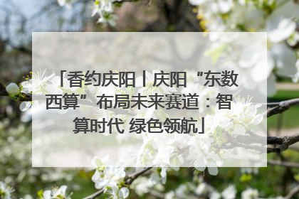 香约庆阳丨庆阳“东数西算”布局未来赛道：智算时代 绿色领航