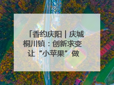 香约庆阳｜庆城桐川镇：创新求变 让“小苹果”做成“大产业”