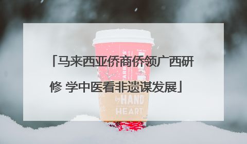 马来西亚侨商侨领广西研修 学中医看非遗谋发展