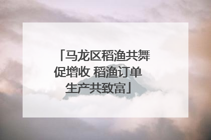 马龙区稻渔共舞促增收 稻渔订单生产共致富