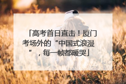 高考首日直击！厦门考场外的“中国式浪漫”，每一帧都暖哭