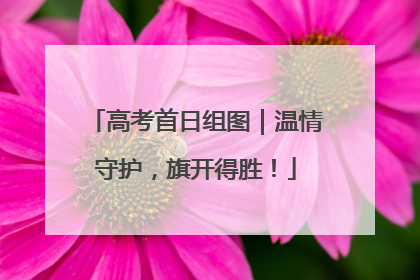高考首日组图｜温情守护，旗开得胜！