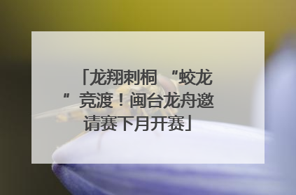 龙翔刺桐 “蛟龙”竞渡！闽台龙舟邀请赛下月开赛