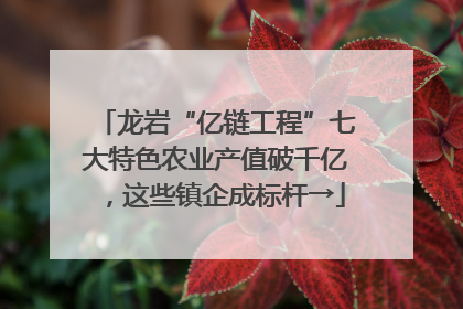 龙岩“亿链工程”七大特色农业产值破千亿，这些镇企成标杆→