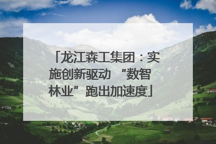 龙江森工集团：实施创新驱动 “数智林业”跑出加速度