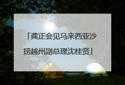 龚正会见马来西亚沙捞越州副总理沈桂贤