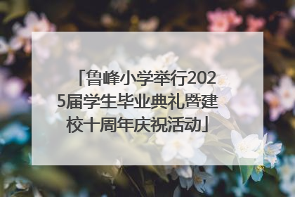 鲁峰小学举行2025届学生毕业典礼暨建校十周年庆祝活动