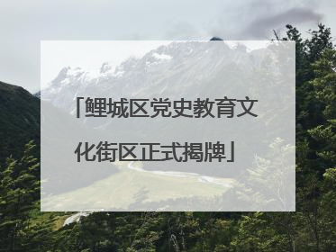 鲤城区党史教育文化街区正式揭牌