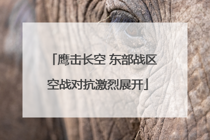 鹰击长空 东部战区空战对抗激烈展开