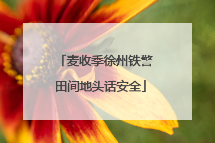 麦收季徐州铁警田间地头话安全