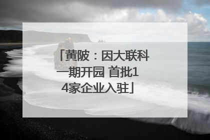 黄陂：因大联科一期开园 首批14家企业入驻