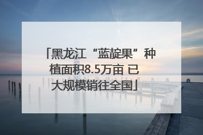 黑龙江“蓝靛果”种植面积8.5万亩 已大规模销往全国