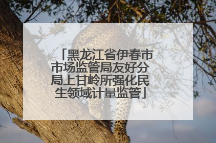 黑龙江省伊春市市场监管局友好分局上甘岭所强化民生领域计量监管