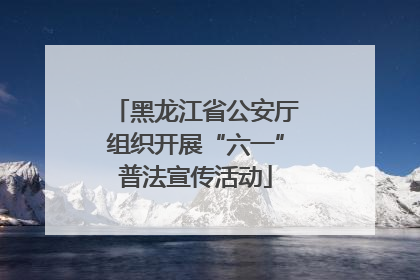 黑龙江省公安厅组织开展“六一”普法宣传活动