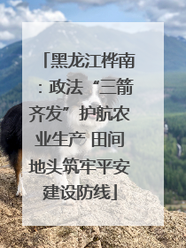 黑龙江桦南：政法“三箭齐发”护航农业生产 田间地头筑牢平安建设防线