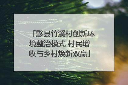 黟县竹溪村创新环境整治模式 村民增收与乡村焕新双赢