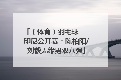 （体育）羽毛球——印尼公开赛：陈柏阳/刘毅无缘男双八强