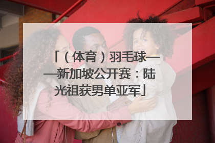 （体育）羽毛球——新加坡公开赛：陆光祖获男单亚军