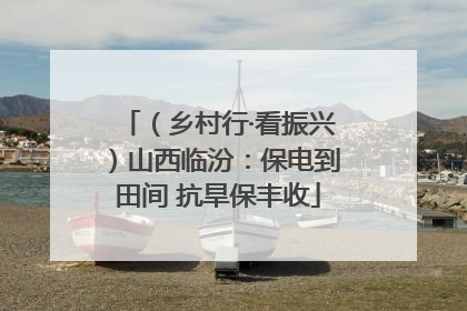 （乡村行·看振兴）山西临汾：保电到田间 抗旱保丰收