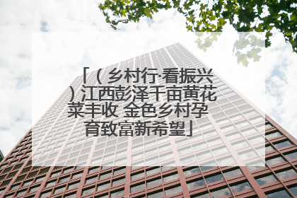 （乡村行·看振兴）江西彭泽千亩黄花菜丰收 金色乡村孕育致富新希望