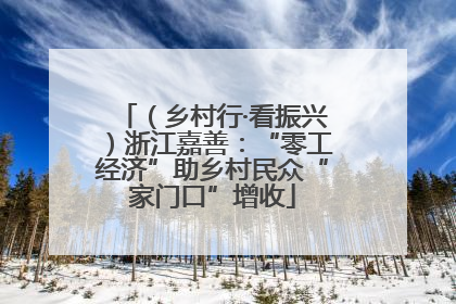 （乡村行·看振兴）浙江嘉善：“零工经济”助乡村民众“家门口”增收