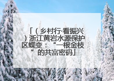 （乡村行·看振兴）浙江黄岩水源保护区蝶变：“一根金枝”的共富密码