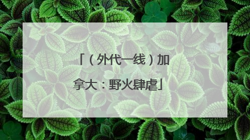 （外代一线）加拿大：野火肆虐
