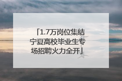 1.7万岗位集结 宁夏高校毕业生专场招聘火力全开