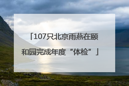 107只北京雨燕在颐和园完成年度“体检”