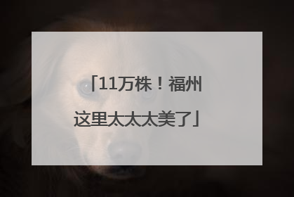 11万株！福州这里太太太美了