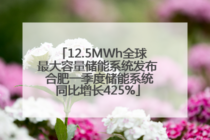 12.5MWh全球最大容量储能系统发布 合肥一季度储能系统同比增长425%