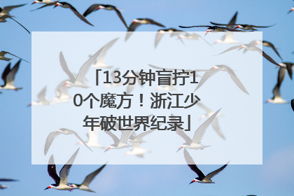 13分钟盲拧10个魔方！浙江少年破世界纪录