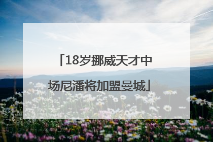 18岁挪威天才中场尼潘将加盟曼城