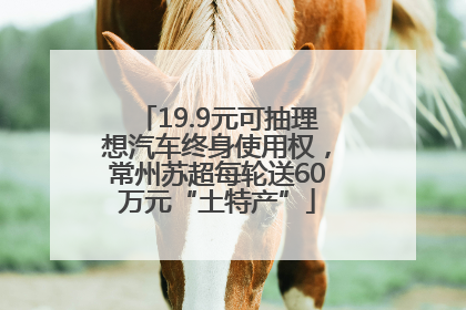 19.9元可抽理想汽车终身使用权，常州苏超每轮送60万元“土特产”