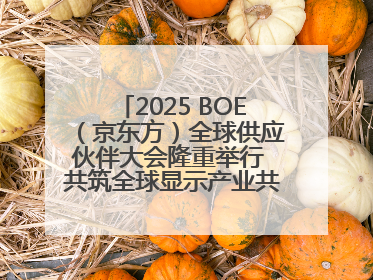 2025 BOE（京东方）全球供应伙伴大会隆重举行 共筑全球显示产业共生共赢新格局