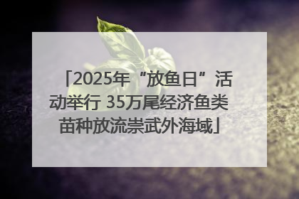 2025年“放鱼日”活动举行 35万尾经济鱼类苗种放流崇武外海域