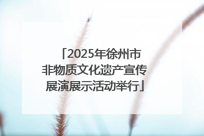 2025年徐州市非物质文化遗产宣传展演展示活动举行