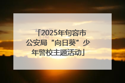 2025年句容市公安局“向日葵”少年警校主题活动