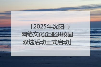 2025年沈阳市网络文化企业进校园双选活动正式启动