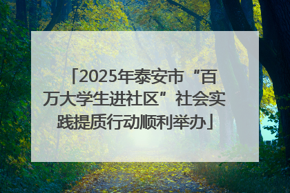 2025年泰安市“百万大学生进社区”社会实践提质行动顺利举办