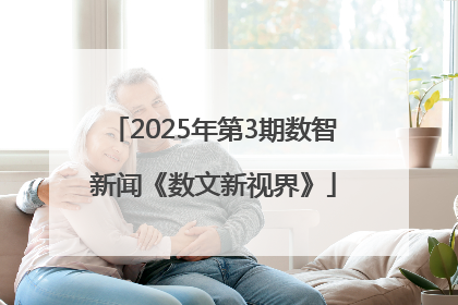 2025年第3期数智新闻《数文新视界》