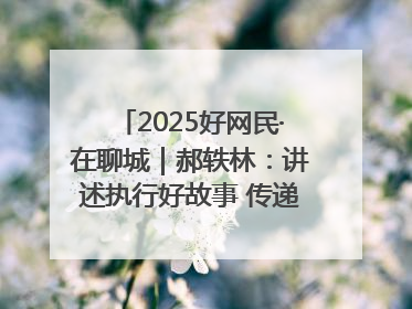 2025好网民·在聊城｜郝轶林：讲述执行好故事 传递司法正能量