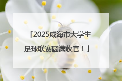 2025威海市大学生足球联赛圆满收官！