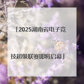 2025湖南省电子竞技超级联赛即将启幕